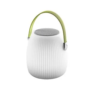  Favourite 2128-1T Speaker