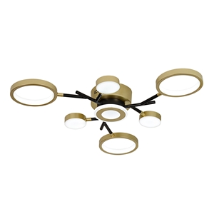 Потолочные светильники F-Promo 4686-7C Hybrid