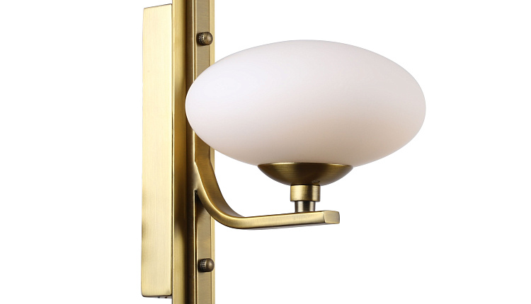 pernetti - новая коллекция Favourite 2019