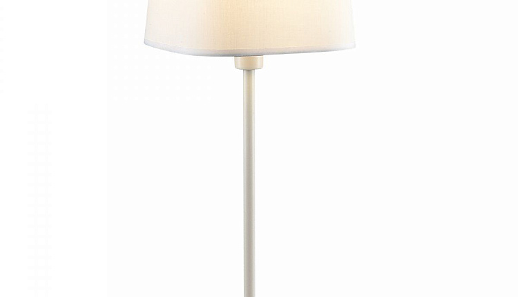 Ефим Шифрин. Вокруг ремонта 