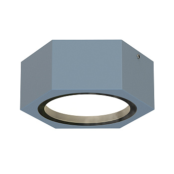 Накладные потолочные светильники Favourite 4666-1U Fantum