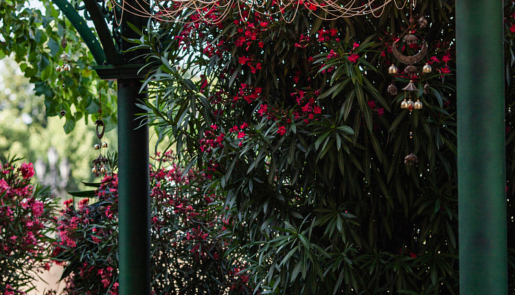 ✨Люстры Favourite на Манежной площади✨