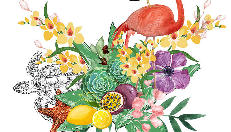 С Международным женским днем!