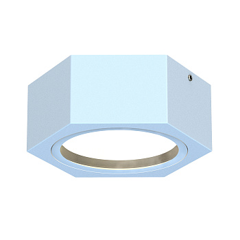 Накладные потолочные светильники Favourite 4665-1U Fantum