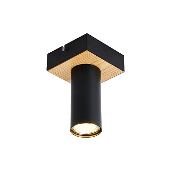 Потолочные светильники F-Promo 4431-1C Olson