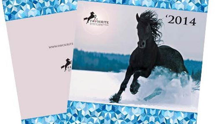 Новый каталог светильников Favourite 2014!