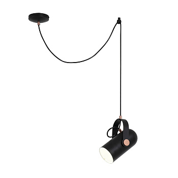 Подвесы Favourite 2007-1P Ampolla