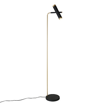 Торшеры Favourite 2324-2F Duplex