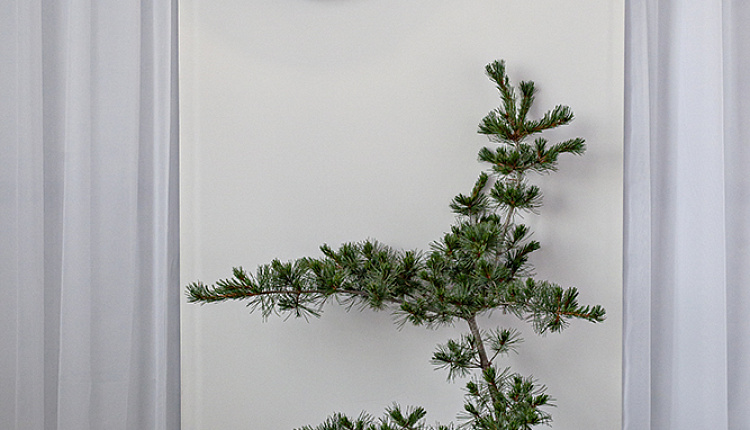 Главный партнёр по свету на выставке Open Village 2025