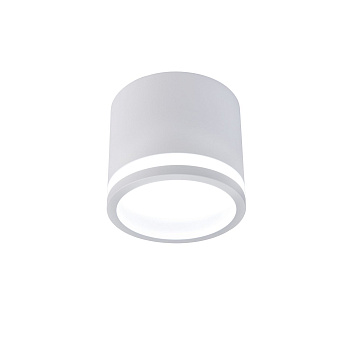 Накладные потолочные светильники Favourite 4213-1C Festum