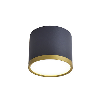 Потолочные светильники Favourite 3081-2C Baral