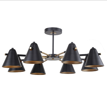 Потолочные люстры F-Promo 2844-8P Rigor